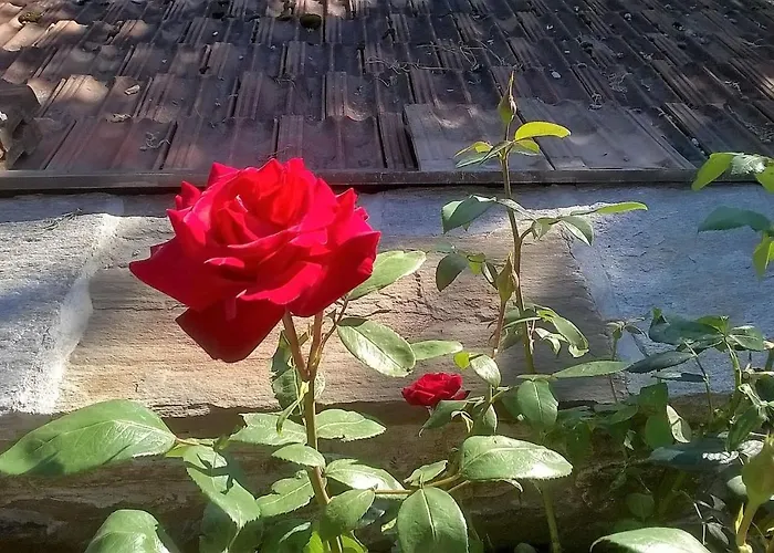 La Casa Di Monica E Luciano Стреза