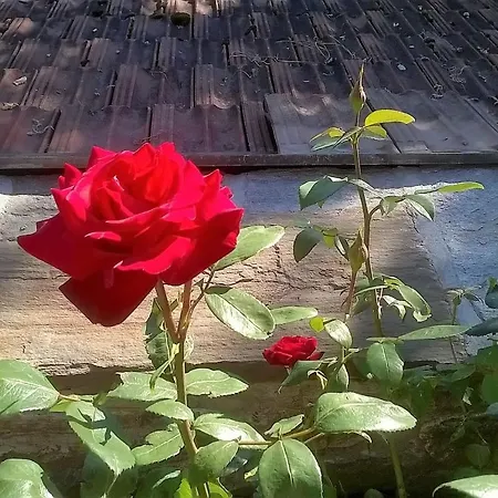 La Casa Di Monica E Luciano Stresa